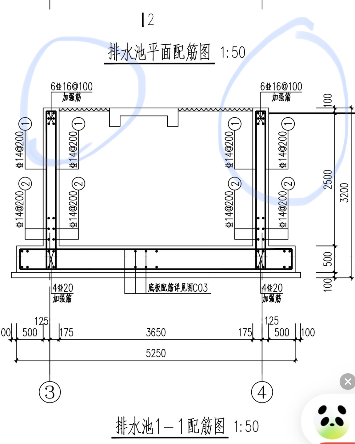 强筋