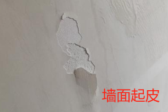 造价技能