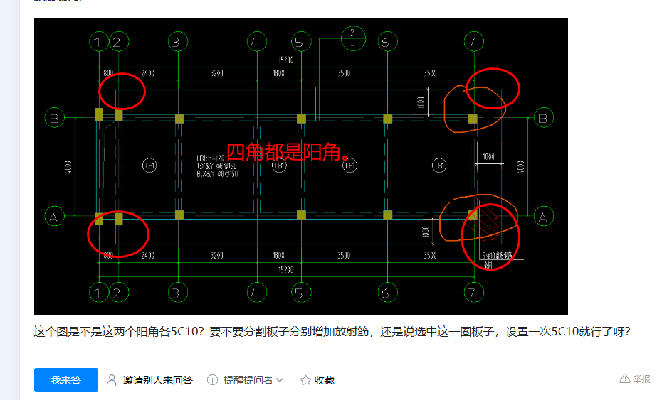 放射筋