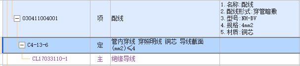 项目特征
