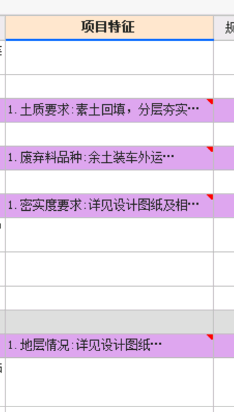 項(xiàng)目特征