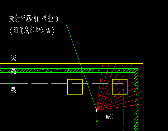 放射筋