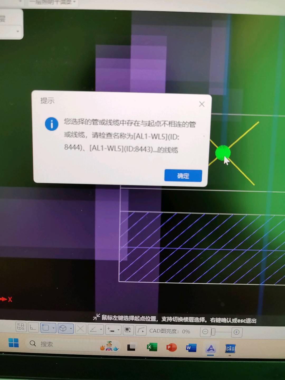 分支