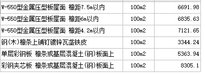 项目特征