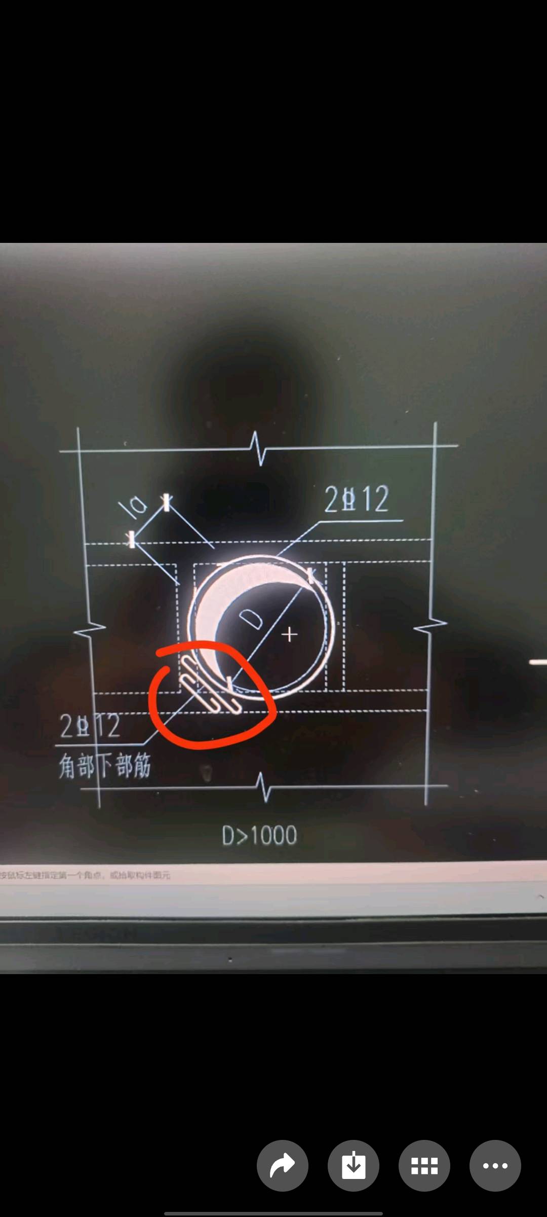 直筋
