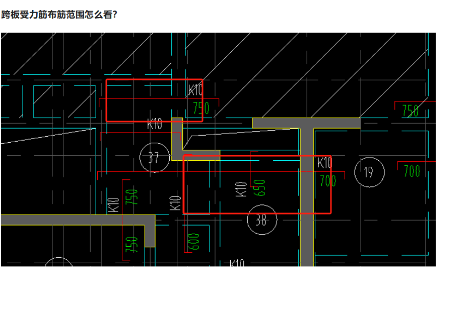 受力筋