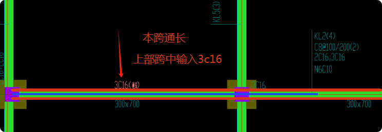 原位标注