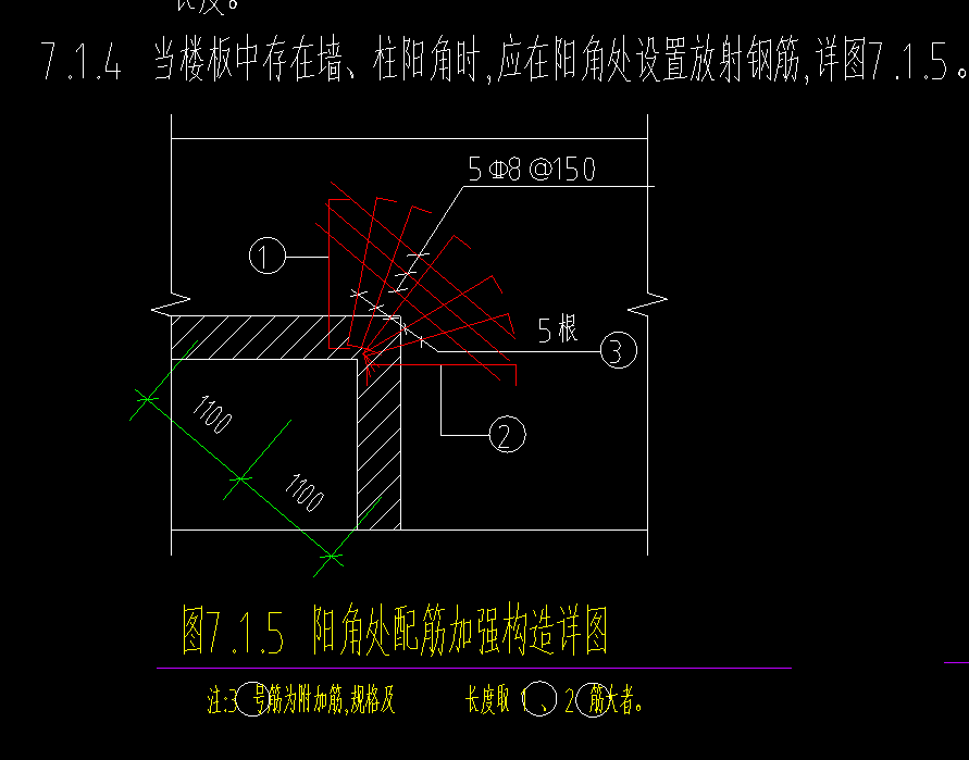 放射筋
