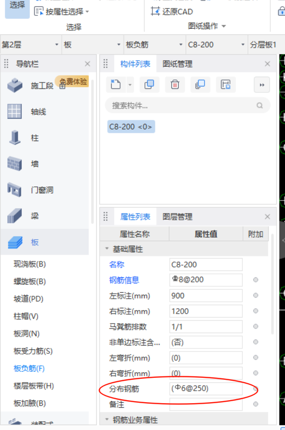 分布筋