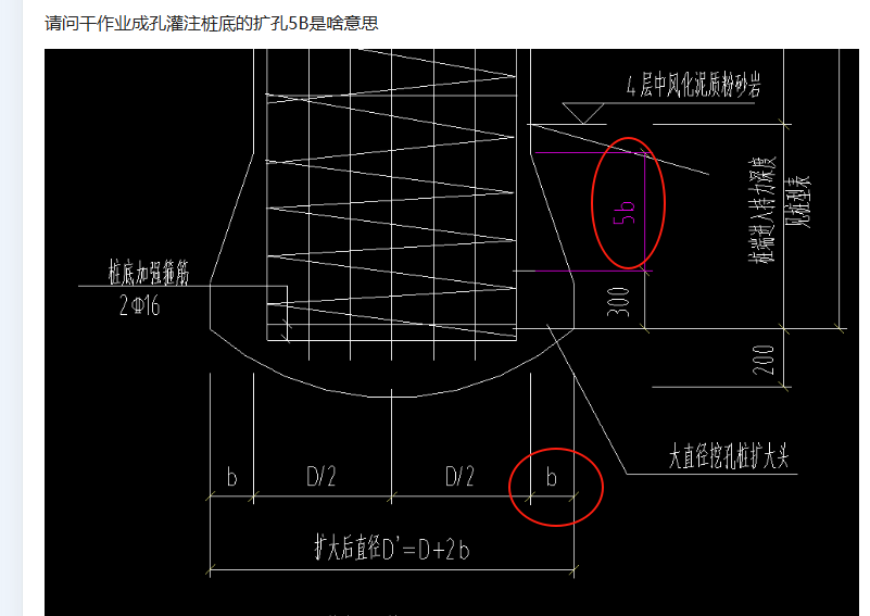 干作业成孔灌注桩