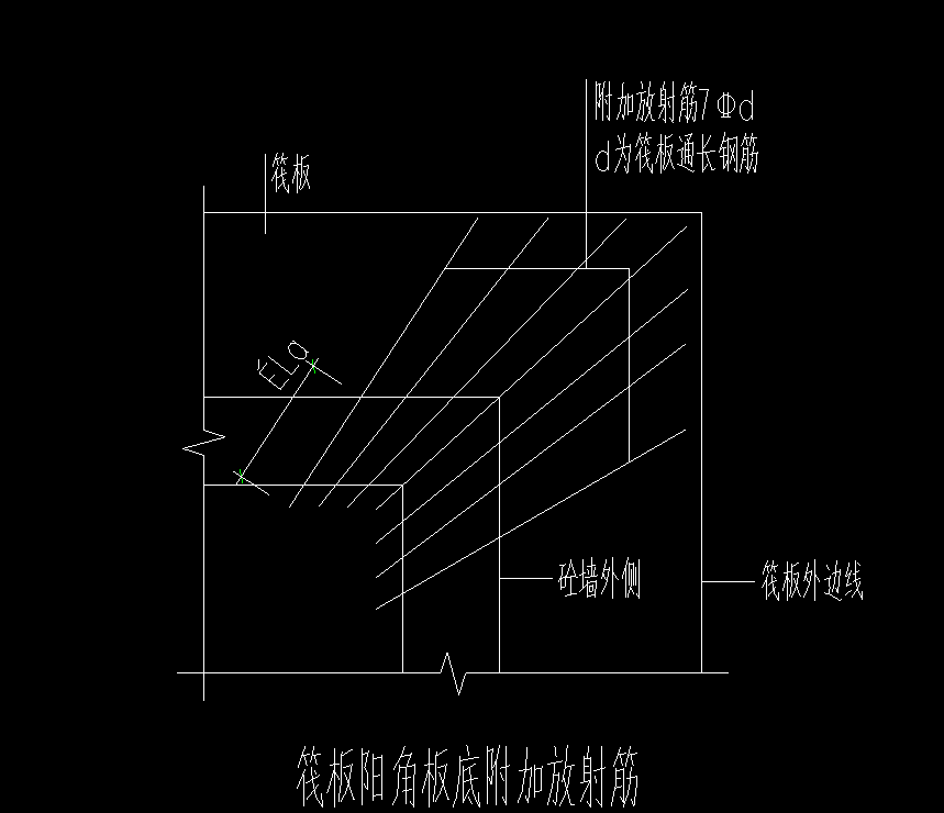 放射筋