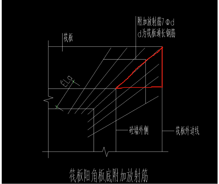 放射筋长度