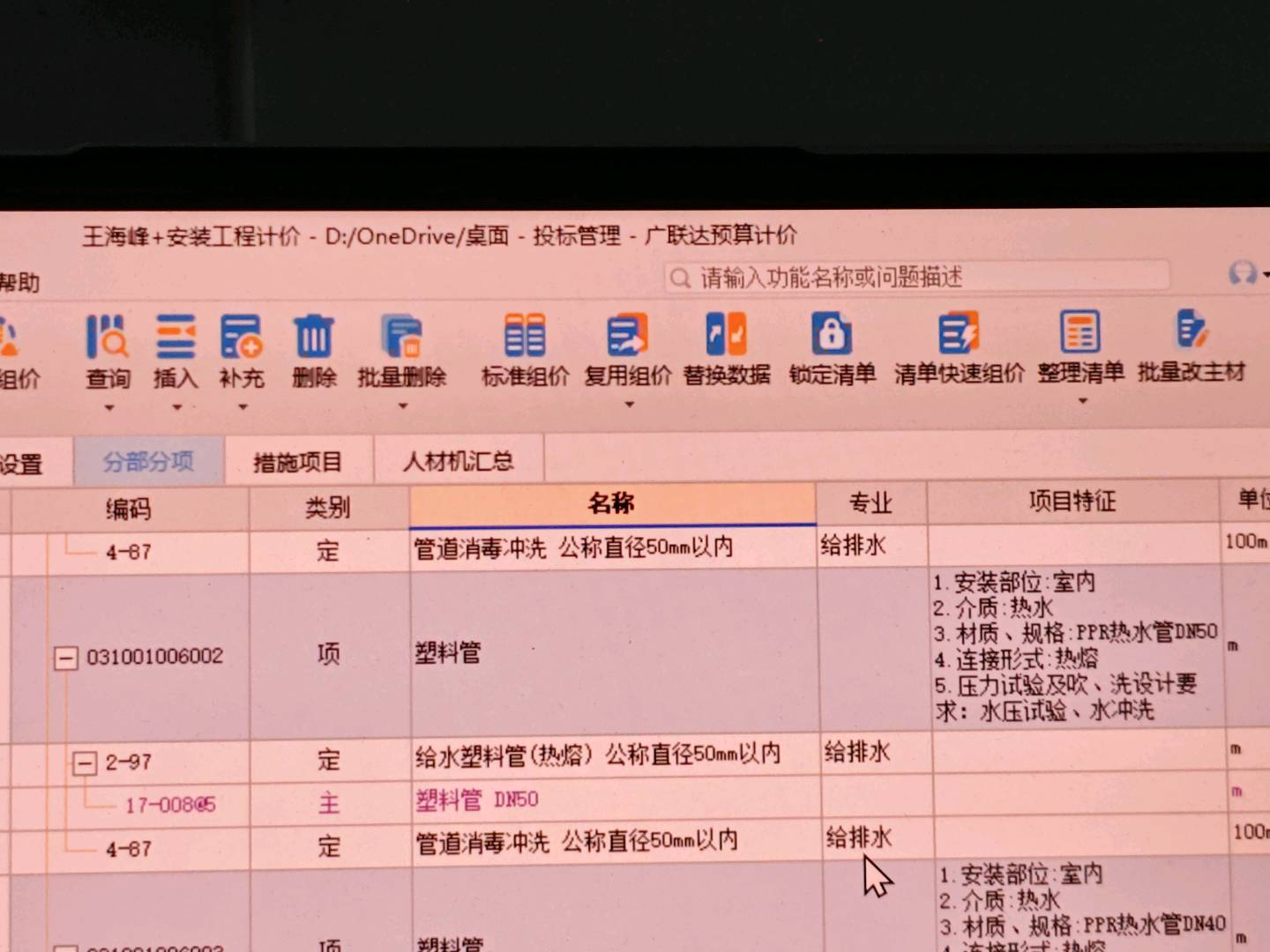 项目特征