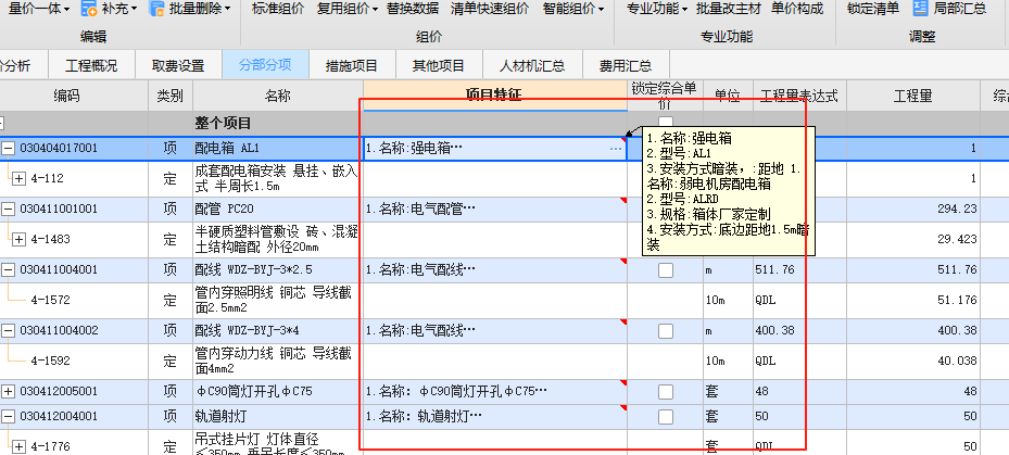 项目特征