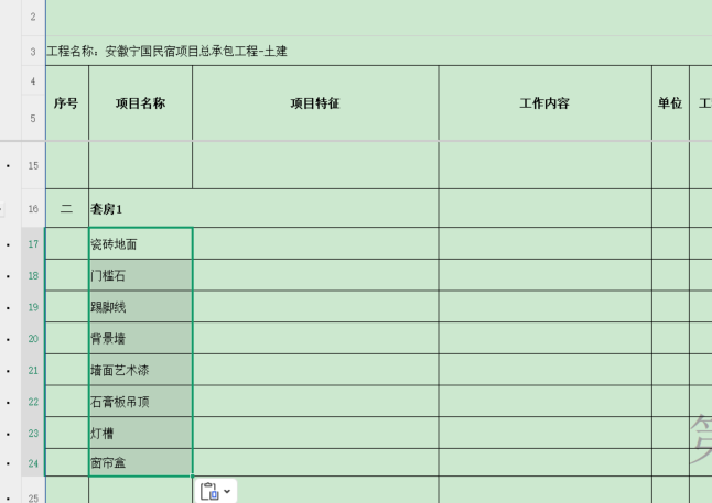 项目特征