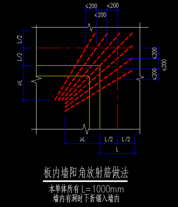 放射筋