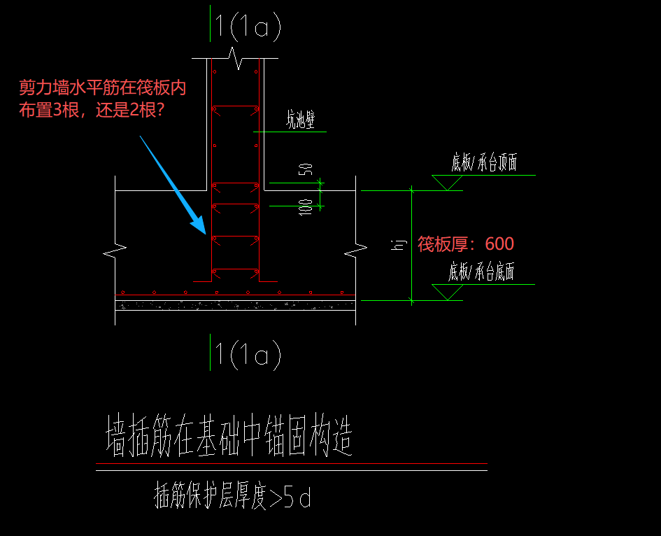 分布筋
