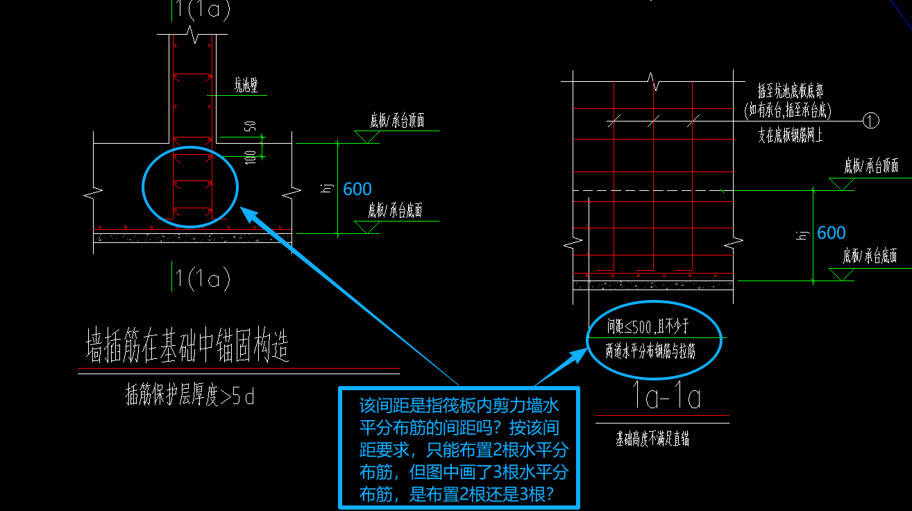 分布筋