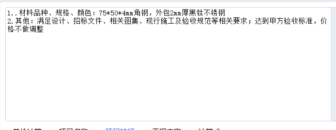 项目特征