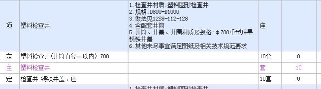 项目特征