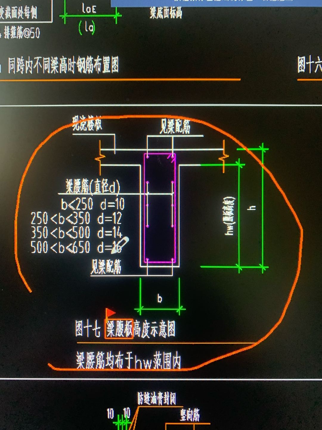 梁腹板