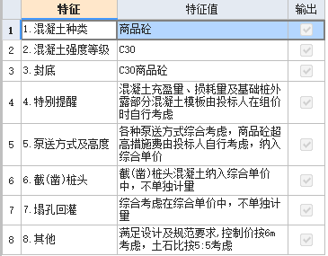 项目特征