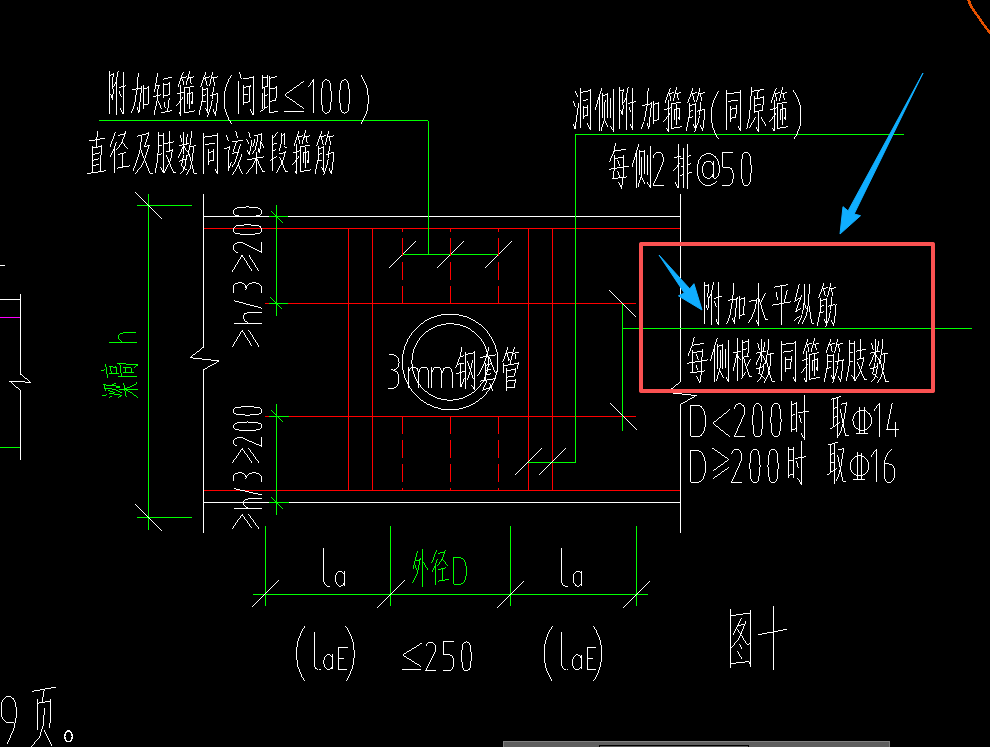 根数