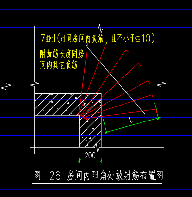放射筋