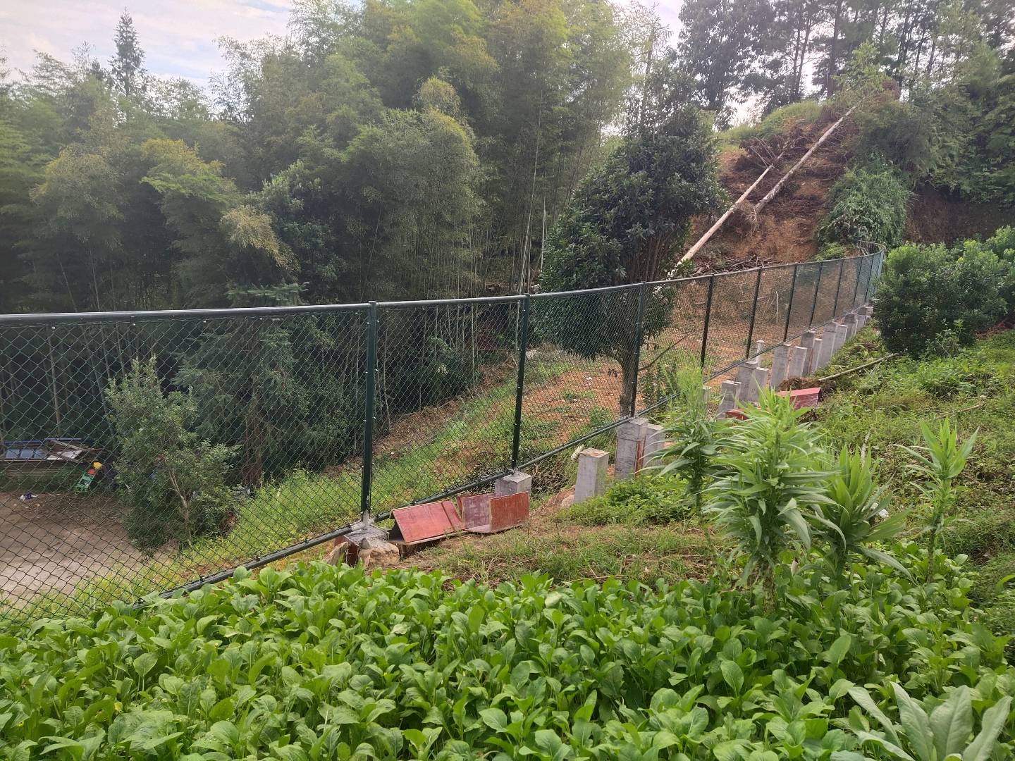 答疑：各位老师，这种网，贵州16定额，套哪一项定额合理呢？望各位老师指教一下，谢谢！