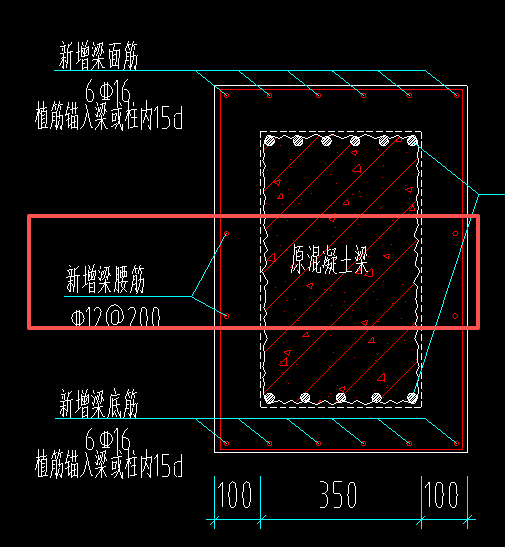 答疑：新增的腰筋是4根吗