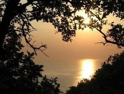 建筑行业专业资讯门户-新干线头条