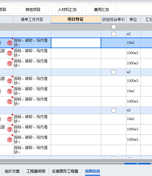 项目特征