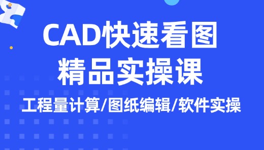 CAD快速看图精品实操课