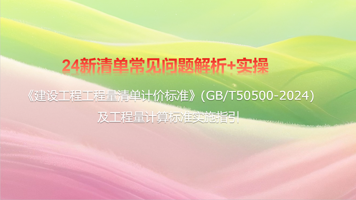 24新清单常见问题解析+实操
