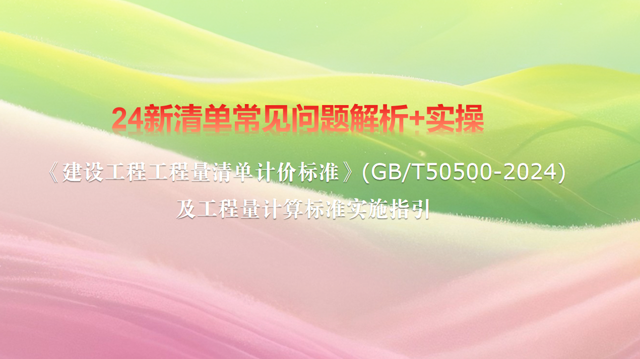 24新清单常见问题解析+实操